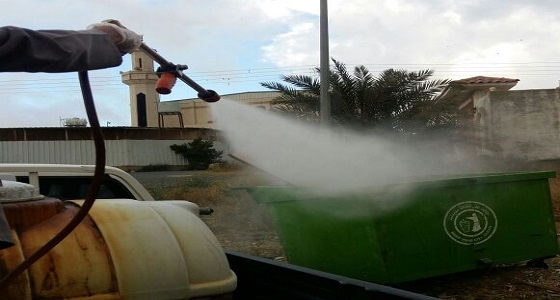 بالصور.. خطة موسمية للصحة العامة والوقاية بـ 120 حي وموقع سياحي بالطائف