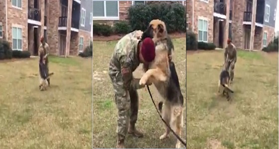 بالفيديو.. قلوبهم أرق من البشر.. كلب يحتضن صاحبه بحرارة بعد عودته لمنزله