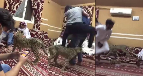 بالفيديو.. شاب يطلق ” فهد ” على أصدقائه وأحدهم يفزع خوفا