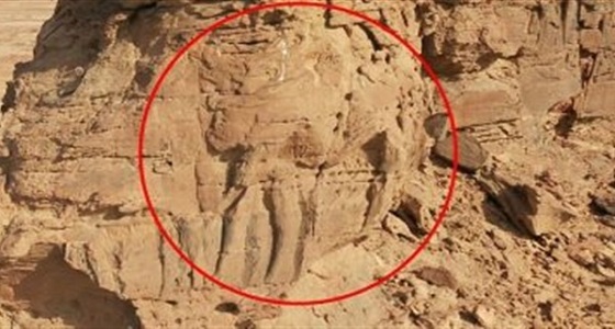 العثور على منحوتات صخرية فنية في صحراء المملكة