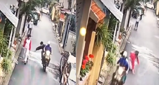 بالفيديو.. لصان يسرقان كلبا من يد فتاة بالشارع