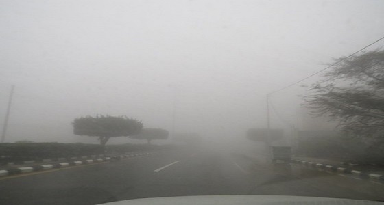 تنبيه بتدني الرؤية بسبب الضباب في عسير