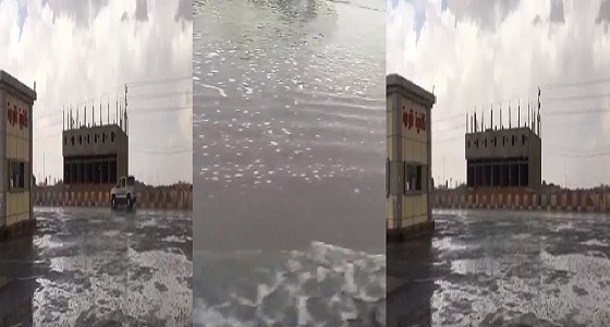 بالفيديو.. هطول أمطار متوسطة إلى غزيرة على غرب الطائف