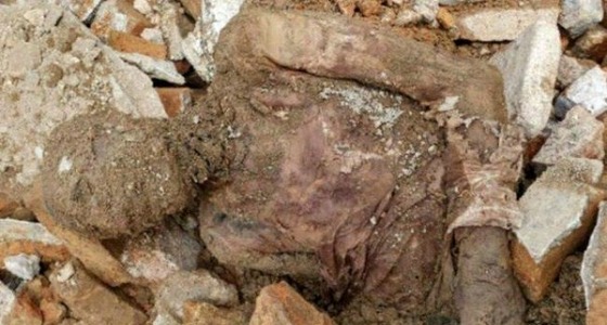 جدل في إيران بعد العثور على جثة شاه سابق