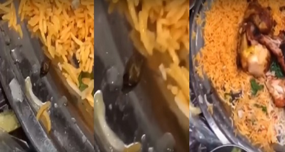 بالفيديو.. العثور على ” صرصور ” بوجبة في مطعم بالأحساء.. والبلدية تتفاعل