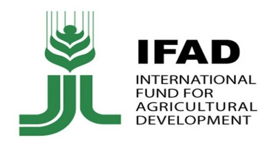 الصندوق الدولي للتنمية الزراعية يبدأ في مشروع دعم الحيازات الصغيرة في المدرجات الجنوبية
