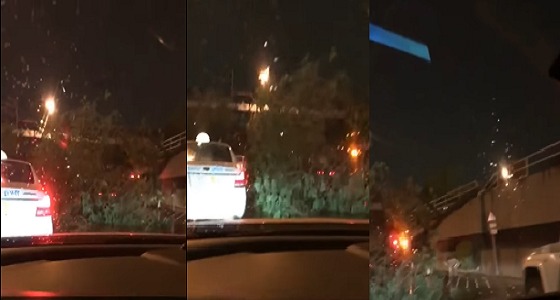 بالفيديو.. سقوط شجرة في طريق الملك فهد بسبب الأمطار