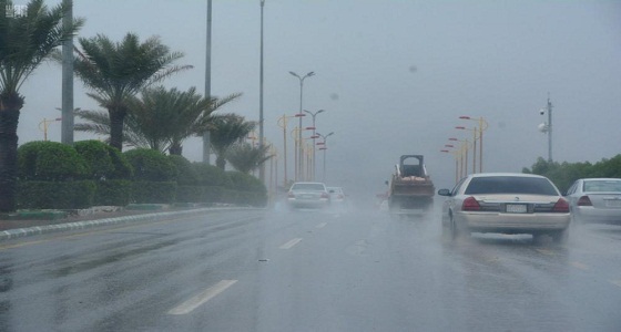 أمطار رعدية مصحوبة بزخات برد على عدة مراكز في عسير
