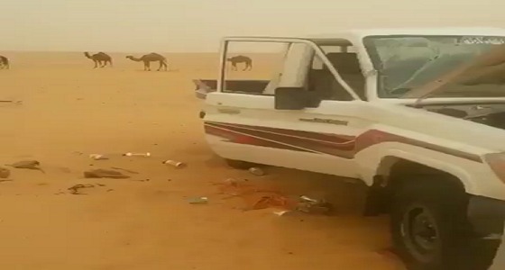 بالفيديو.. العاصفة الترابية تدمر سيارة وكرفان أحد رعاة الإبل