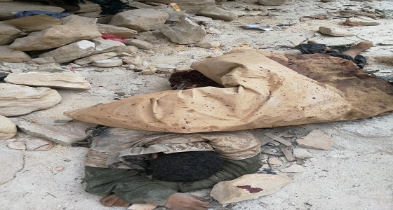 قتلى من الحوثيين في غارات لطيران التحالف العربي بجبهة صرواح