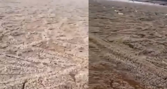 بالفيديو.. مشهد خيالي لسيول البرد بالمدينة المنورة
