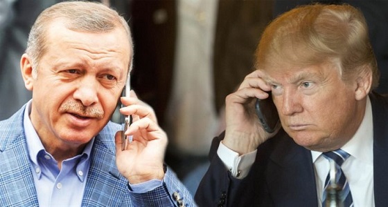 ترامب وأردوغان يتبادلان الأراء حول التطورات في سوريا