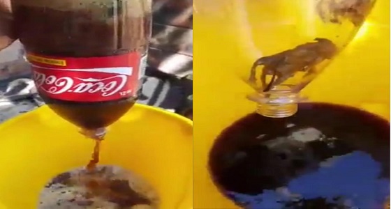 بالفيديو.. العثور على فأر ميت داخل زجاجة مشروبات غازية