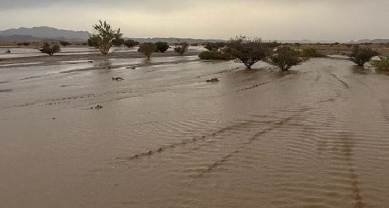 بالصور .. هطول أمطار على أنحاء متفرقة من نجران