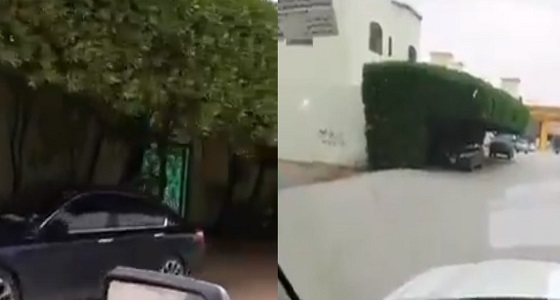 بالفيديو.. مواطن يحول الأشجار التي أمام منزله إلى مظلة