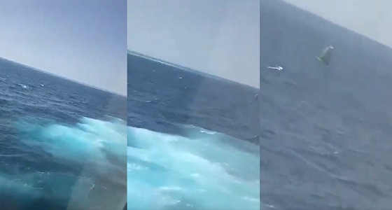 بالفيديو.. قارب نزهة بحرية يتعرض للغرق.. وطاقم &#8221; فرسان &#8221; يتوقف لإنقاذه