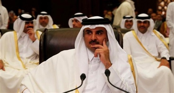 نائبة مصرية عن &#8221; قطر &#8221; : خنجر مسموم في ظهر العرب