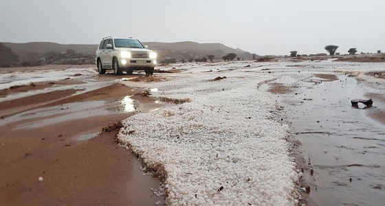 بالفيديو.. أمطار غزيرة على الشفا بمحافظة الرين