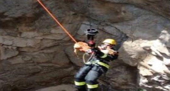بالصور .. &#8221; مدني عسير &#8221; ينقذ كلبًا سقط في بئر مكشوفة