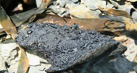 البحرين: اكتشاف كميات كبيرة من النفط الصخري والغاز العميق