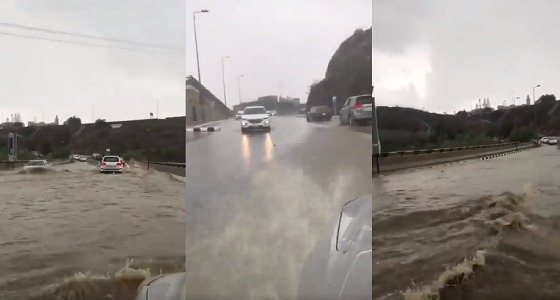 بالفيديو.. لقطات رائعة لأمطار الخير تغمر شوارع أبها