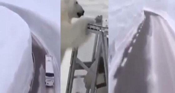 بالفيديو.. أول برومو لبرنامج المقالب &#8221; رامز تحت الثلج &#8220;