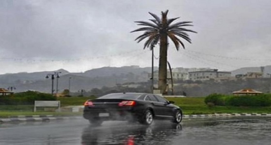 توقعات بهطول أمطار على بعض محافظات الباحة