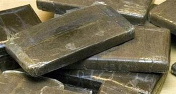 القبض على 4 أشخاص بحوزتهم 14 كيلو جرام حشيش بالرياض