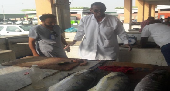 بالصور.. ضبط أكثر من ٦٠كيلوجرام من الأسماك الفاسدة بجازان