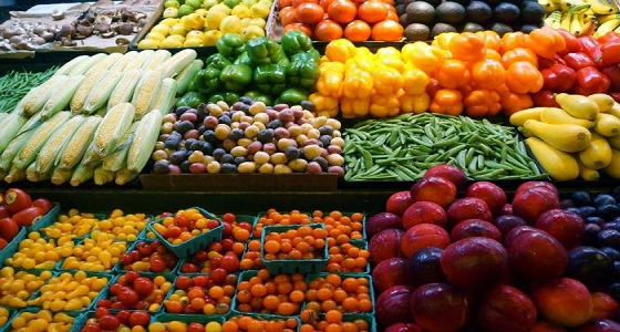&#8221; الغذاء والدواء &#8221; تمنع استيراد الخضراوات والفواكه المصرية من المنشآت غير المعتمدة
