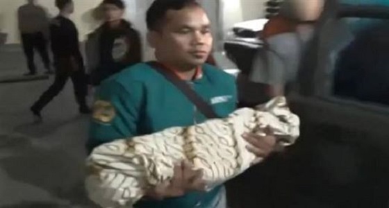 رجل يعض طفله الصغير حتى الموت