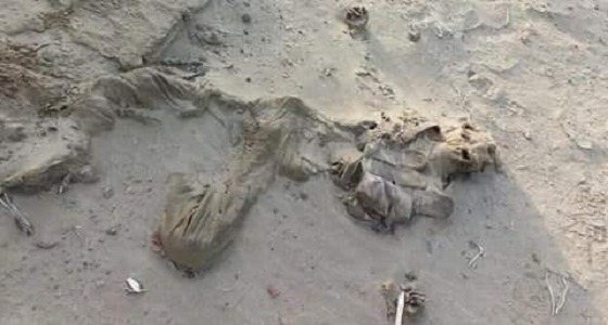 بالصور.. جثث الحوثيين منتشرة في صحراء &#8221; ميدي &#8221; اليمنية