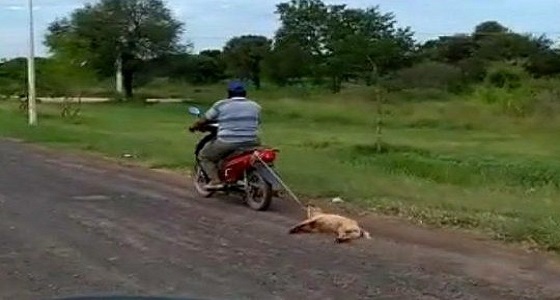 بالفيديو.. رجل يسحل كلبا خلف دراجته النارية لتدريبه
