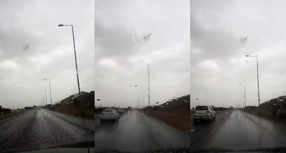 بالفيديو.. أمطار رعدية تنهال على الشوارع والطرق بالطائف