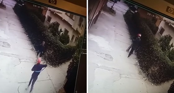 بالفيديو.. لحظة اعتداء لص على رجل بساطور لسرقته