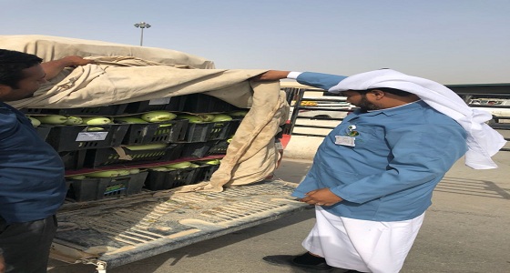 وزارة البيئة تواصل جولاتها التفتيشية على المزارع وأسواق الخضار في الرياض