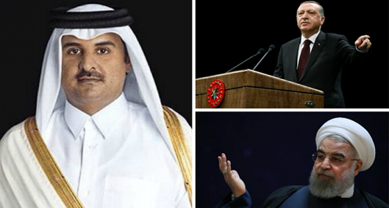 بالصور.. قطر تساند تركيا وتدعو لدمار مصر الشقيقة