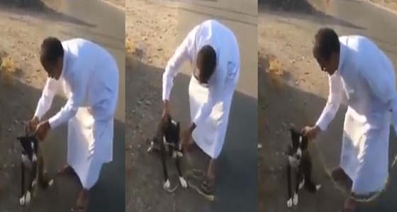 بالفيديو.. &#8221; مواطن &#8221; يجسد معنى الإنسانية بعد أن فك وثاق كلب