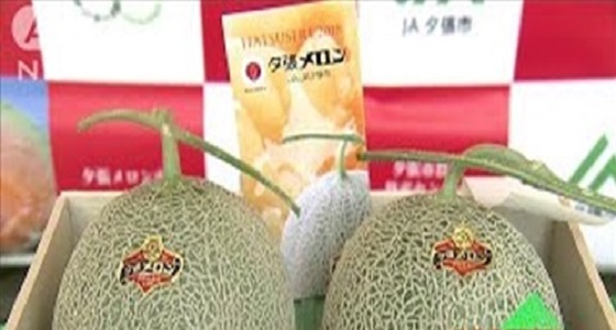 بالفيديو.. بيع بطيختين في اليابان بـ 30 ألف دولار