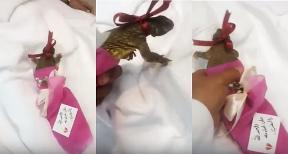 بالفيديو.. مواطن يضع &#8221; ضبًا &#8221; في بوكية ورد ويهديه لطفل مريض
