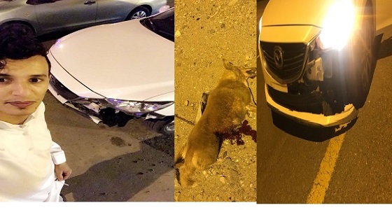 بالصور : مواطن يصطدم بذئب بمركز حقال