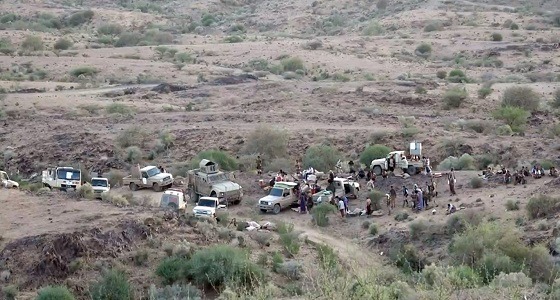 المقاومة الوطنية في اليمن: تحرير الحديدة سيكون درسا قاسيا للحوثيين