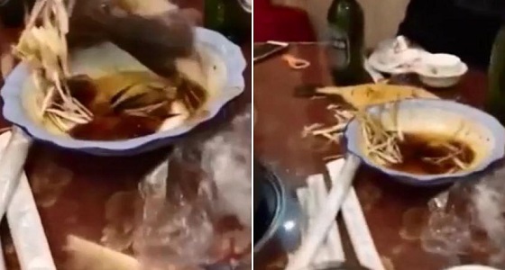 بالفيديو.. سمكة تعود للحياة على طاولة مطعم رغم طهيها