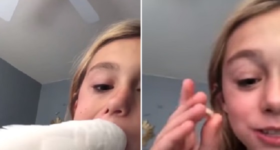 بالفيديو.. ببغاء يقوم بعمل طبيب أسنان ويخلع ضرس طفلة