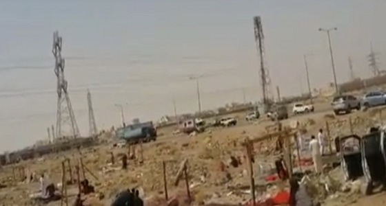 بالفيديو.. مقاصب تذبح الأغنام في أماكن متسخة وبدون شهادات صحية