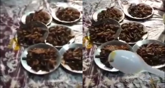 بالفيديو.. مواطن يجد حشرة في وجبة بأحد المطاعم.. وأمانة الطائف تباشر
