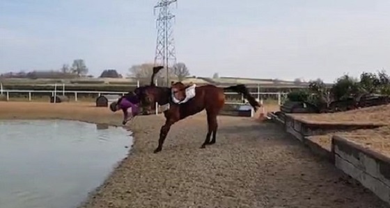 بالفيديو.. لحظة سقوط فتاة من على ظهر حصان في بحيرة
