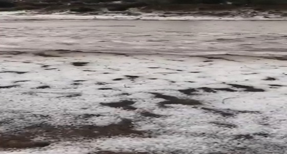 بالفيديو.. منظر رائع للأمطار وجريان السيول بالطائف