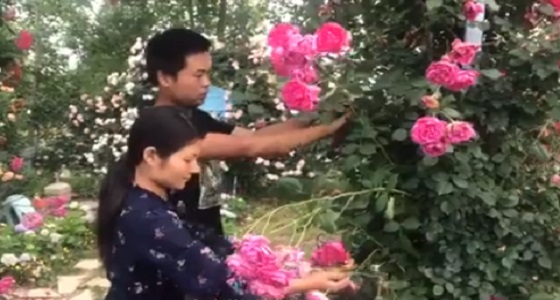 بالفيديو.. رجل رومانسي يبني حديقة مساحتها 1300 متر لزوجته