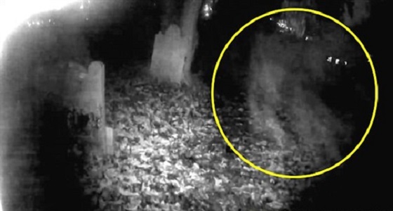 بالفيديو.. شبح يهاجم شاب يستكشف مقبرة عمرها 800 عام